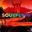 soulFlyty 2