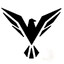 Falcon1
