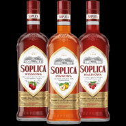 Soplica