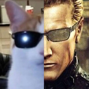 Chungus Life