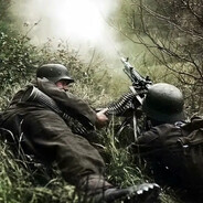 在摇曳的阴影下