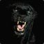 Black ◥◣ ◢◤ Panther