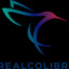 Aram RealColibri.com