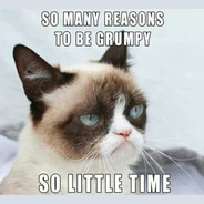 GrumpyyCat