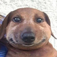 ГОЛУБЬ СТАС