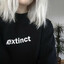 ✰✰✰✰✰