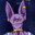 Beerus-FR