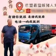 巴盟最强贩猪人刘全