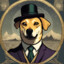 Sir Doge