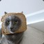 Breading