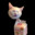 Mr Meemay