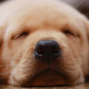 wake_play_sleep's avatar
