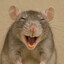 Rat