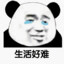 熬夜的熊猫