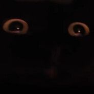 kittyuhh