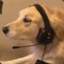 Kyzaa