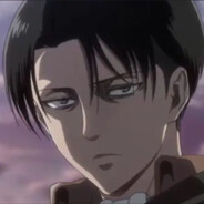 Levi160