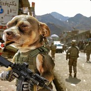 CACHORRO_66