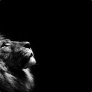[dark]