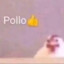 ✪el pollo