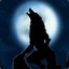 Black_WolF