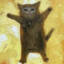 Kitus