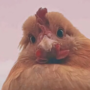 昆山龙哥怕振刀