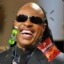 Stevie Wonder