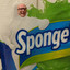 Sponge