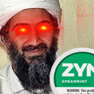 Zyn Laden