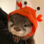 Otter