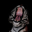 Níðhöggr