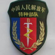 PLA-南国利剑