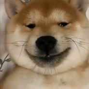 俺是东北旮旯的