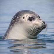 Richard Nixon (Tricky Dick)