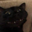 happy_catty69