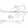bathedlizard
