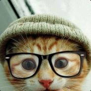 qdra - steam id 76561197960439998