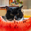 i like whatermelon