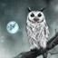 White_Owl