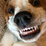 Grin - steam id 76561198853208418