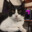 CAREPINGO
