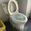 Frozen Toilet