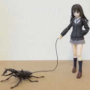鲨鱼青椒