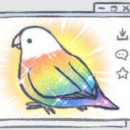 乌鸦住在彩虹的尽头