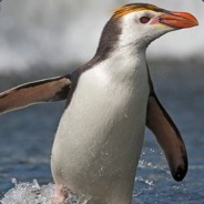 Oczy szeroko zamkniete