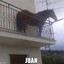 JUAN