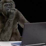 sUstO - steam id 76561197965118743