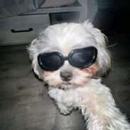 頑張れ私今日も可愛い