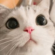 香香软软的小泡芙